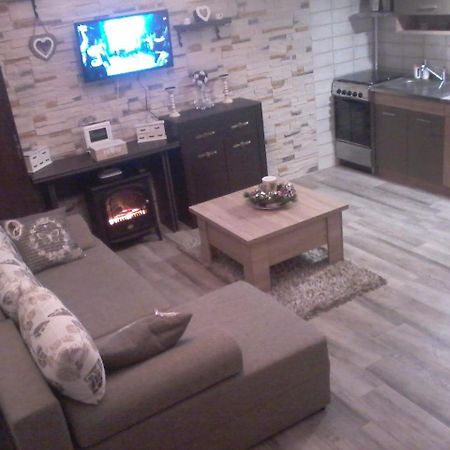 Duplex Alexander Daire Braşov Dış mekan fotoğraf