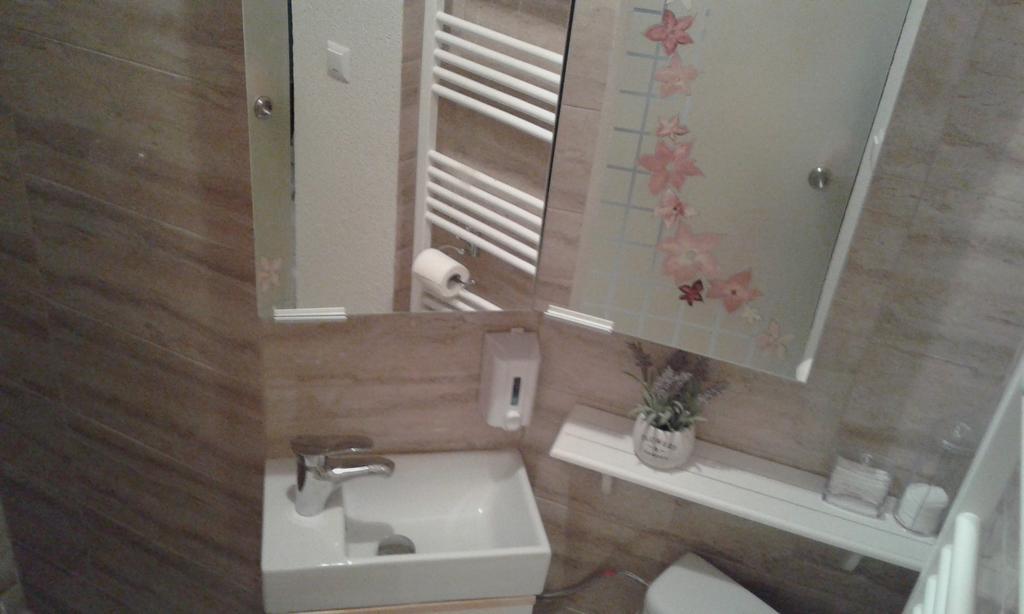 Duplex Alexander Daire Braşov Dış mekan fotoğraf