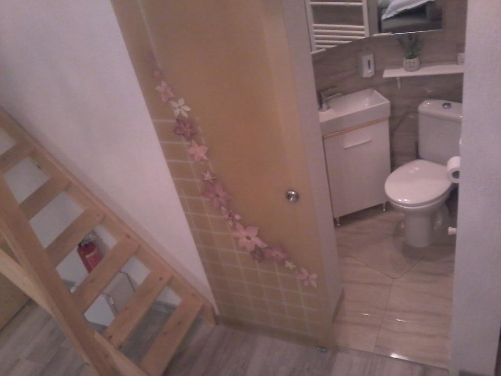 Duplex Alexander Daire Braşov Dış mekan fotoğraf